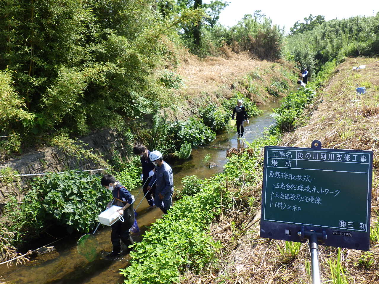 現場内調査